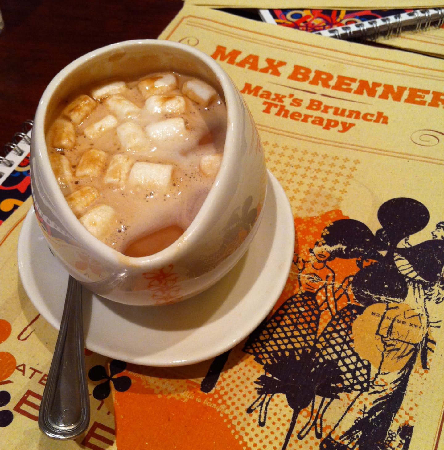 Max Brenner's Hot Chocolate with Marshmallows