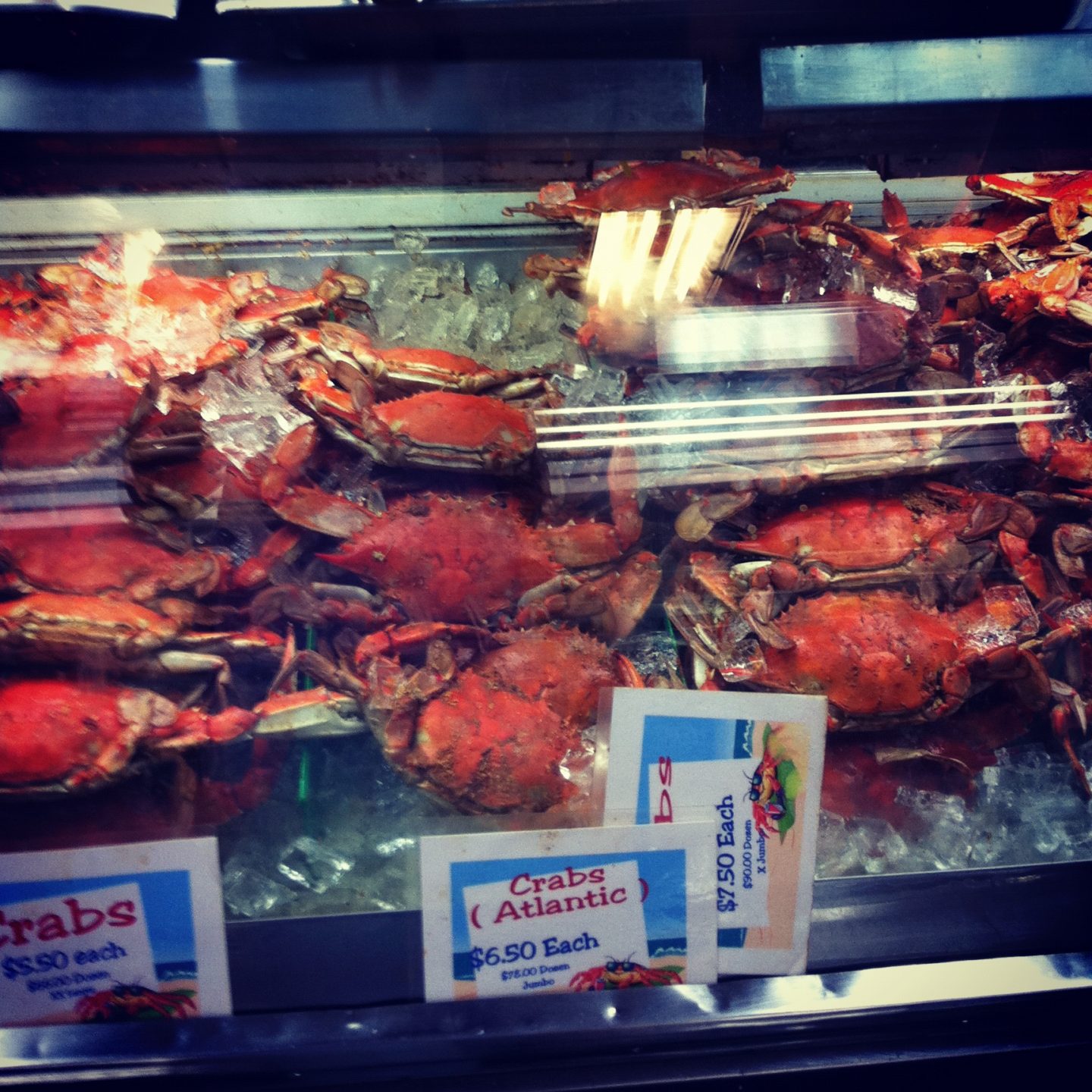Crabs in NJ